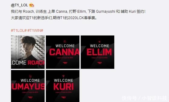 自己的领域 自己的领域